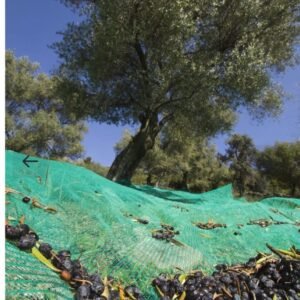 FILET DE RÉCOLTE - RAMASSAGE D’OLIVES – 10m x 5 m