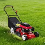 TONDEUSE A GAZON ESSENCE 6.5HP