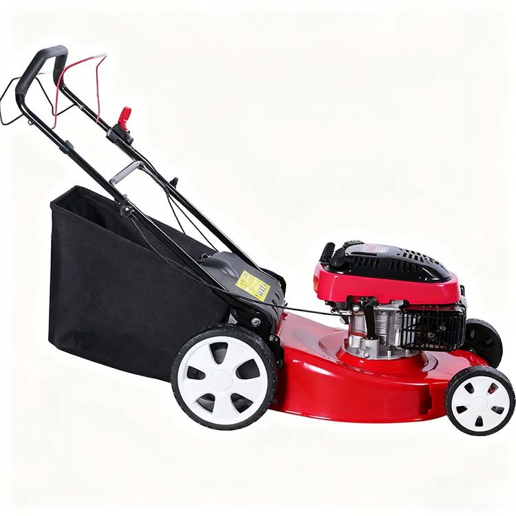 TONDEUSE A GAZON ESSENCE 6.5HP – Image 2