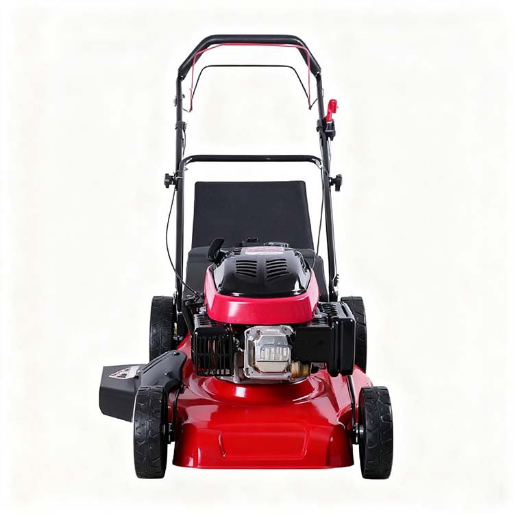 TONDEUSE A GAZON ESSENCE 6.5HP – Image 3